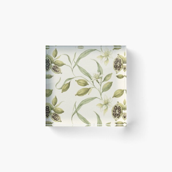 Item preview, Cardamom Pods Botanical Pattern designed and sold by SassyArtistry.