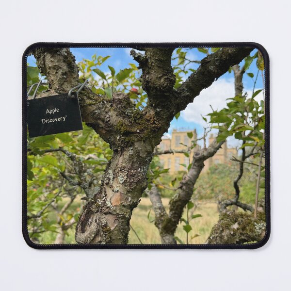 Item preview, Hardwick Hall Framed Through a Discovery Apply Tree designed and sold by Astute-Artio-Photography.