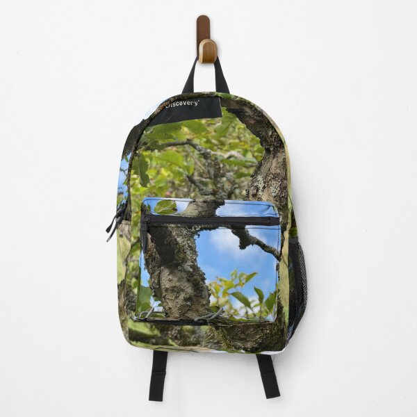 Item preview, Hardwick Hall Framed Through a Discovery Apply Tree designed and sold by Astute-Artio-Photography.