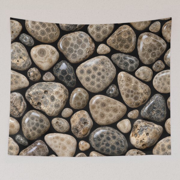 Item preview, Polished Michigan Petoskey Stone Collection designed and sold by Maria Dryfhout.