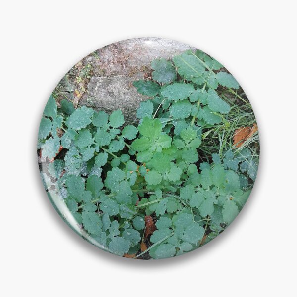 Artikelvorschau, Green Foliage by Stone Wall entworfen und verkauft von PhuongVoArt.
