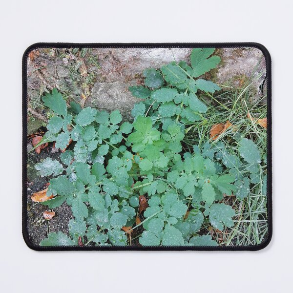 Item preview, Green Foliage by Stone Wall designed and sold by PhuongVoArt.