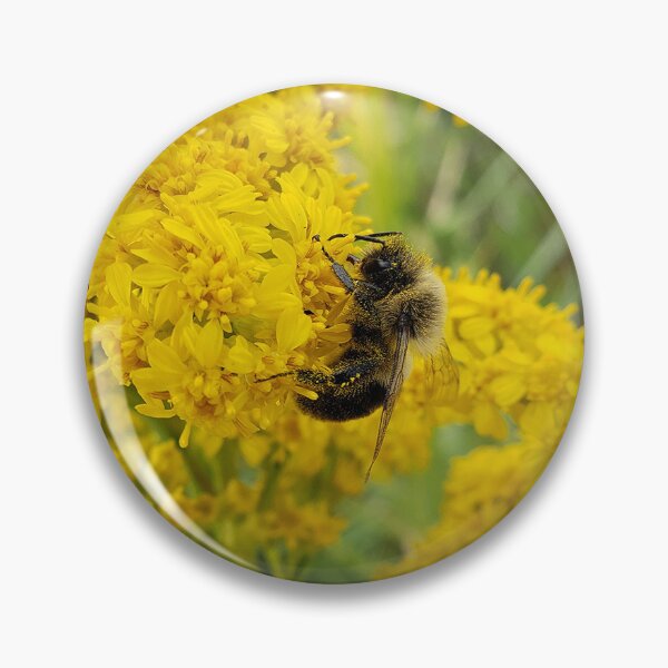 Artikelvorschau, Hummel auf Salzwiesen-Goldrute 1 entworfen und verkauft von concretebotany.
