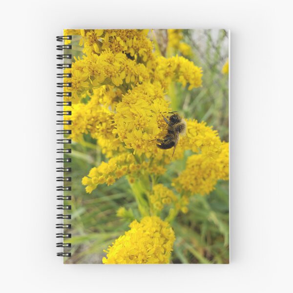 Item preview, Bumblebee on Saltmarsh Goldenrod 1 designed and sold by concretebotany.
