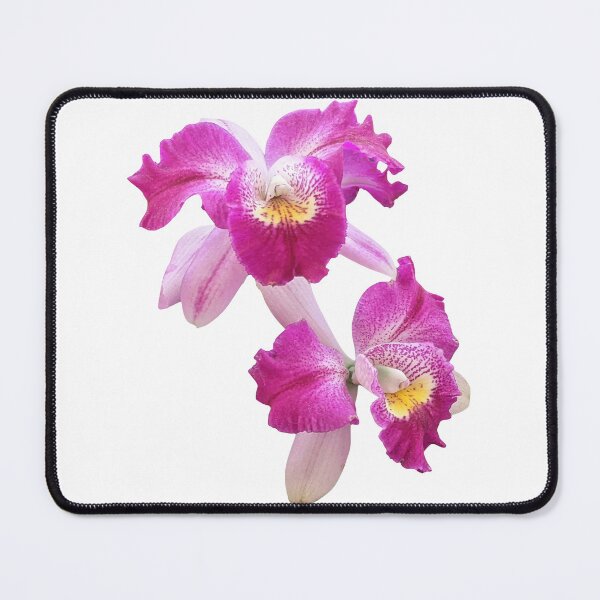 Item preview, Magenta Pink Cattleya Laelia Purpurata Orchid Shapes Mania designed and sold by Shapes-Mania.
