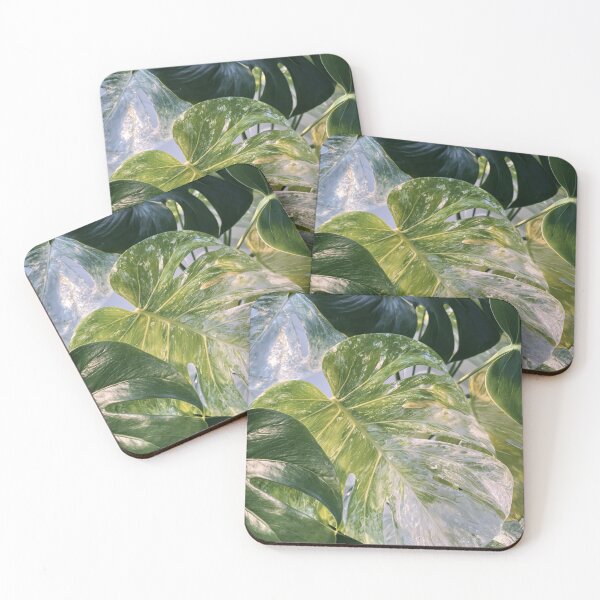 Aperçu de l'œuvre Monstera Relax Plant créée et vendue par scicilysimonee.