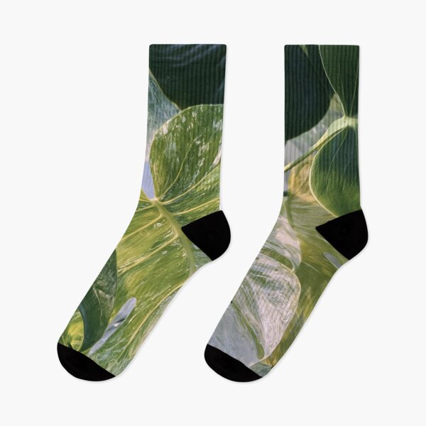 Aperçu de l'œuvre Monstera Relax Plant créée et vendue par scicilysimonee.