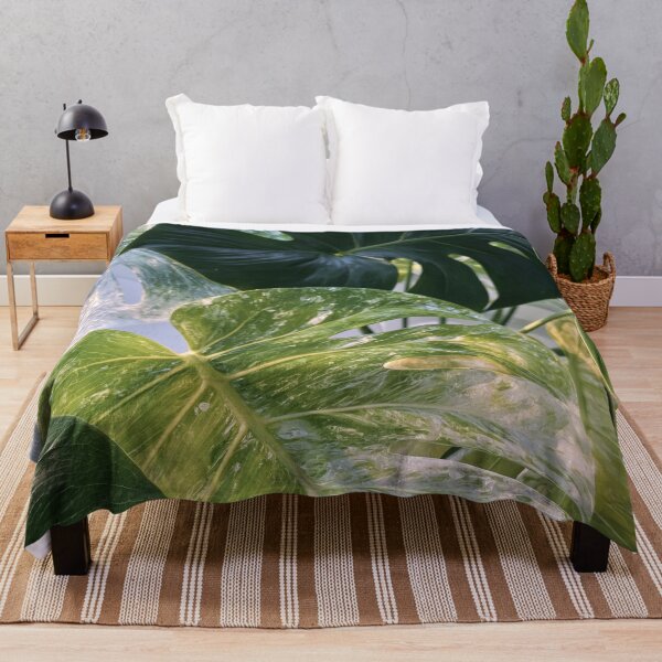 Item preview, Monstera Relax Plant designed and sold by scicilysimonee.