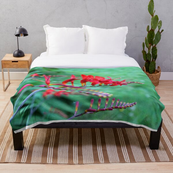 Item preview, Red Crocosmia Flowers – Spring Bloom Macro Photography designed and sold by RithPix.