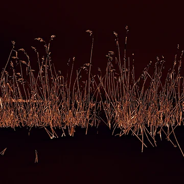 Artwork thumbnail, Copper Reed Field – Botanical Design by SulkaCreative