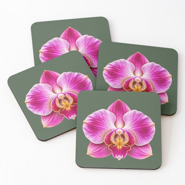 Artikelvorschau, Leuchtend pinkfarbene Phalaenopsis-Orchideenblüte entworfen und verkauft von HO•Designs.