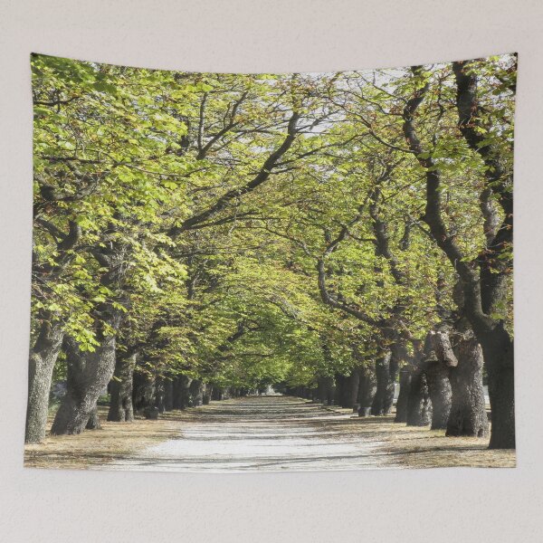 Item preview, Tree Lined Path Summer designed and sold by Londonimages.