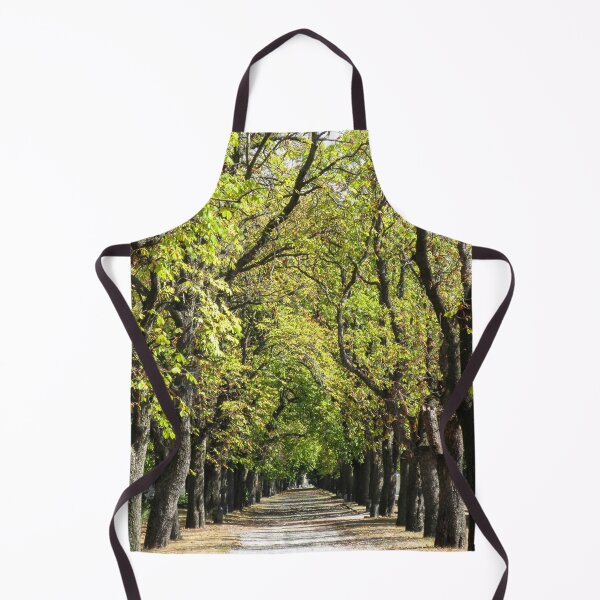 Artikelvorschau, Baumgesäumter Weg im Sommer entworfen und verkauft von Londonimages.
