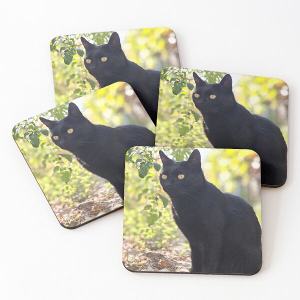 Item preview, Mysterious Black Cat – Elegant Feline Design designed and sold by MB-CatPrints.