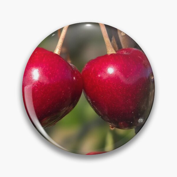 Item preview, Cherries shining in the sunshine designed and sold by BrizzlePix.