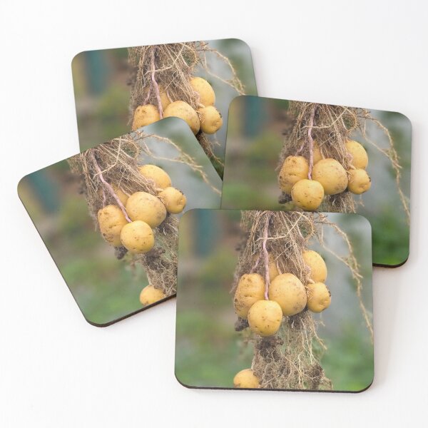 Item preview, Freshly dug homegrown new potatoes designed and sold by BrizzlePix.