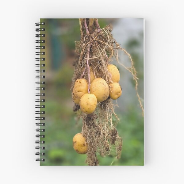 Item preview, Freshly dug homegrown new potatoes designed and sold by BrizzlePix.