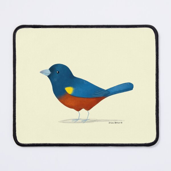 Item preview, Chestnut Bellied Euphonia Bird designed and sold by julianamotzko.