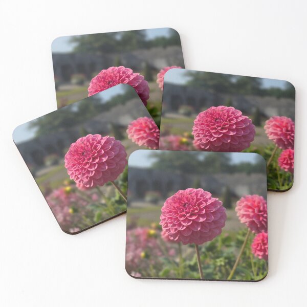 Item preview, pink pom pom dahlia amongst a walled garden designed and sold by BrizzlePix.