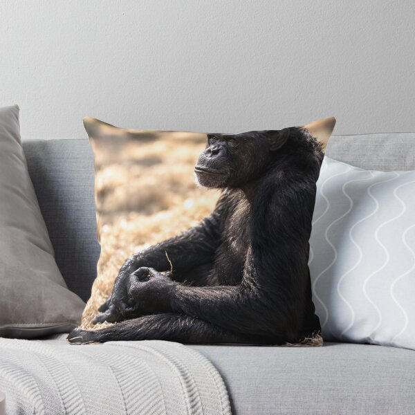 Item preview, Thoughtful Glance.  A Chimpanzee Close-Up Portrait designed and sold by Astute-Artio-Photography.