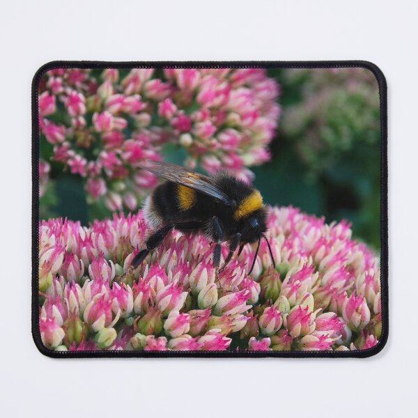 Item preview, Bumble Bee Collecting Pollen designed and sold by BornToBeWyld.