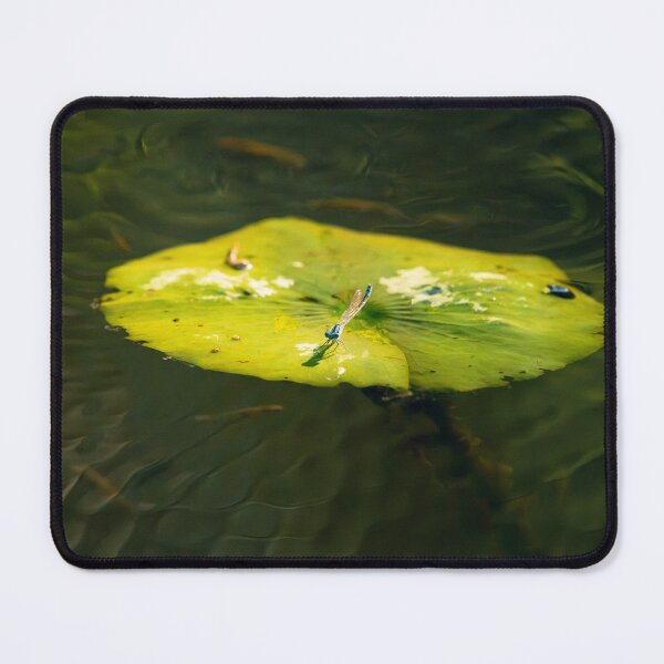 Item preview, Blue-tailed Damselfly designed and sold by robdanimalphotography.
