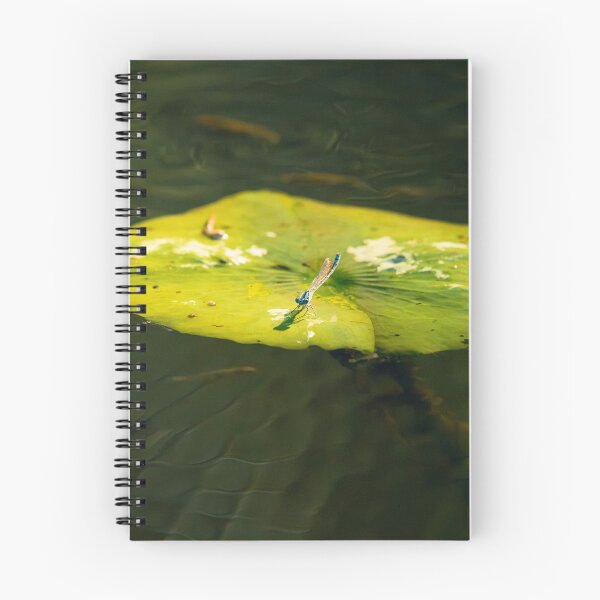 Item preview, Blue-tailed Damselfly designed and sold by robdanimalphotography.