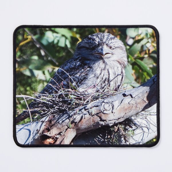Item preview, Tawny Frogmouth upon his nest designed and sold by Lynette2025.