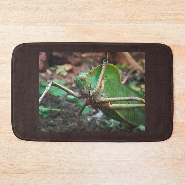 Item preview, Inquisitive Grasshopper designed and sold by BornToBeWyld.