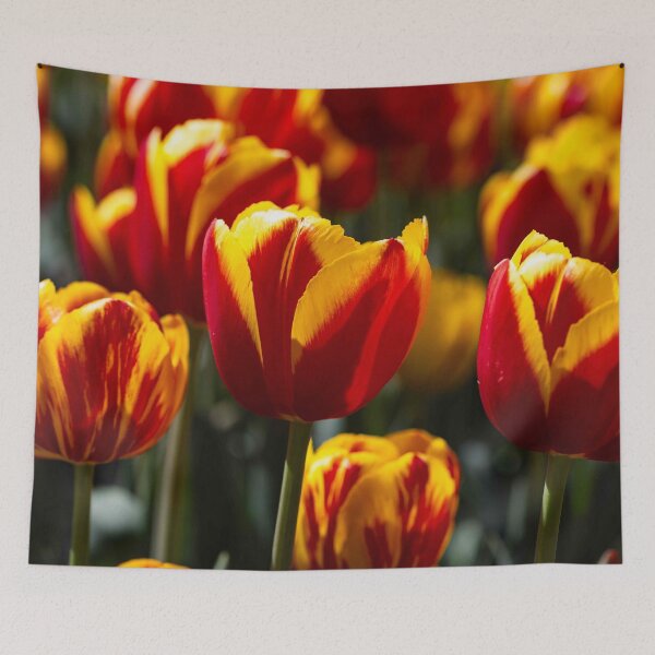 Item preview, Golden Flame Tulips designed and sold by Twisted Light Images.