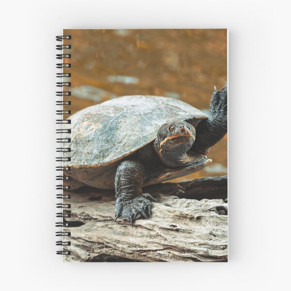 Item preview, Hi! designed and sold by robdanimalphotography.