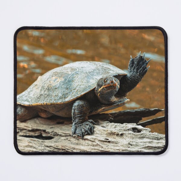 Item preview, Hi! designed and sold by robdanimalphotography.