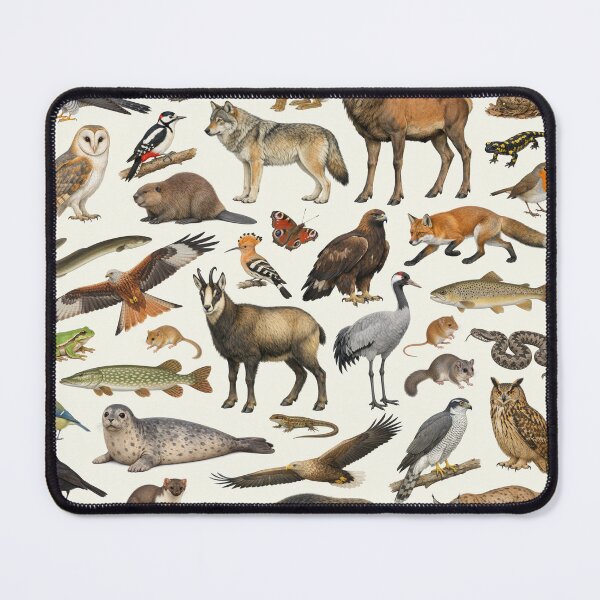 Item preview, Native Animals of Germany Retro Style Identification Chart designed and sold by kakarikihill.