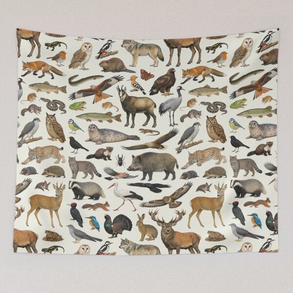 Item preview, Native Animals of Germany Retro Style Identification Chart designed and sold by kakarikihill.