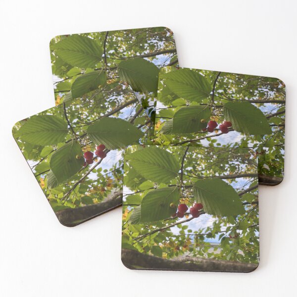 Item preview, Mountain Ash designed and sold by Amanda1775.