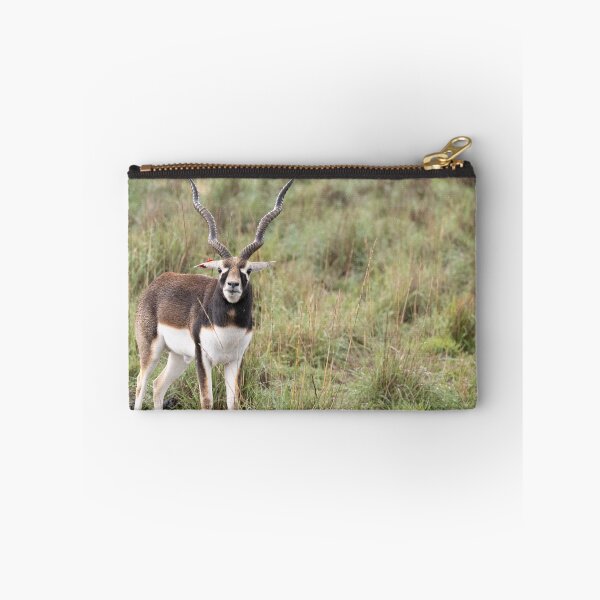 Item preview, A blackbuck in the savannah designed and sold by Gilmore Photography.