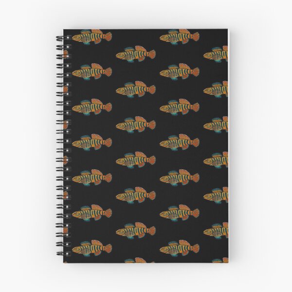 Item preview, Rainbow Darter designed and sold by Field Notes Illustrated.