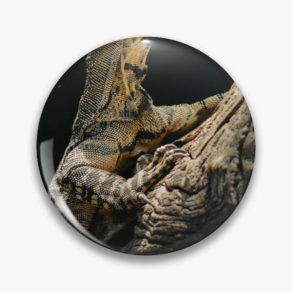 Item preview, Wild Monitor Lizard Clinging to Tree Trunk designed and sold by Daviean.
