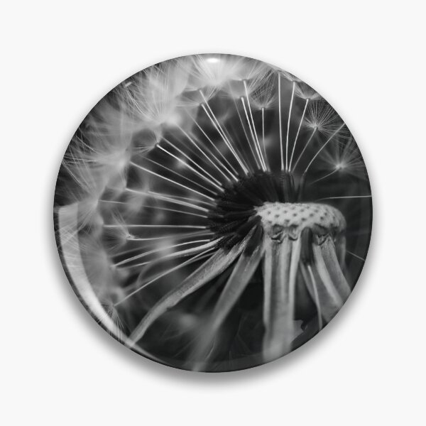 Item preview, Fragile Dandelion Wishes designed and sold by Twisted Light Images.