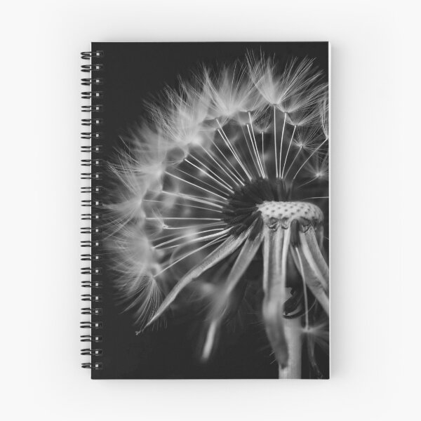 Item preview, Fragile Dandelion Wishes designed and sold by Twisted Light Images.