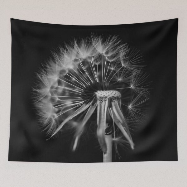 Item preview, Fragile Dandelion Wishes designed and sold by Twisted Light Images.