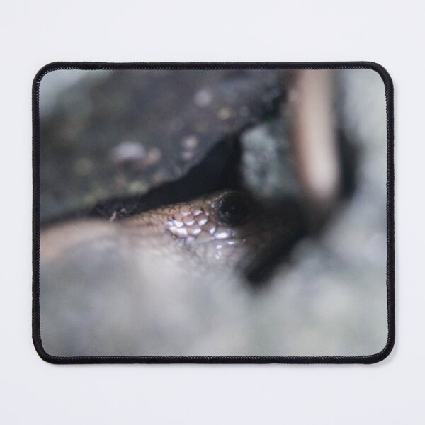 Item preview, Almost Skink designed and sold by ROSE ANN BANILAR.