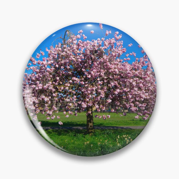 Item preview, Harrogate Cherry Blossom designed and sold by Alisonchambers2.