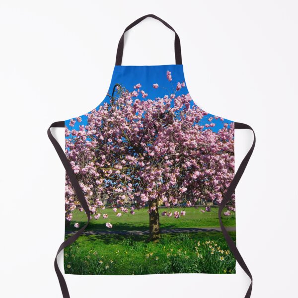 Artikelvorschau, Kirschblüte in Harrogate entworfen und verkauft von Alisonchambers2.