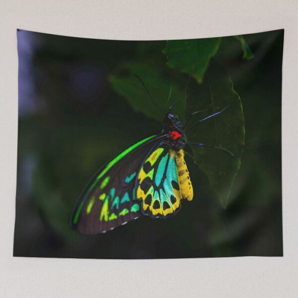 Item preview, Emerald and Gold Butterfly designed and sold by Twisted Light Images.
