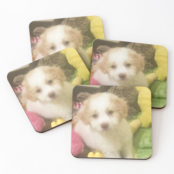 Item preview, Fluffy Cream Poodle Puppy designed and sold by sahirpress26.