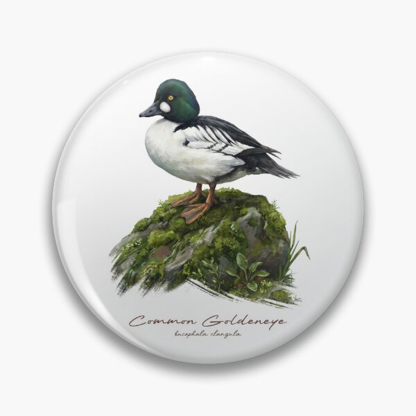 Item preview, Common Goldeneye on Mossy Rock Bird Illustration designed and sold by Takeda-art.