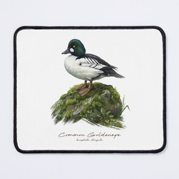 Item preview, Common Goldeneye on Mossy Rock Bird Illustration designed and sold by Takeda-art.