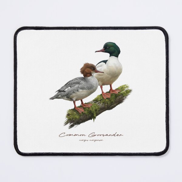 Item preview, Common Goosander on Mossy Log Bird Illustration designed and sold by Takeda-art.
