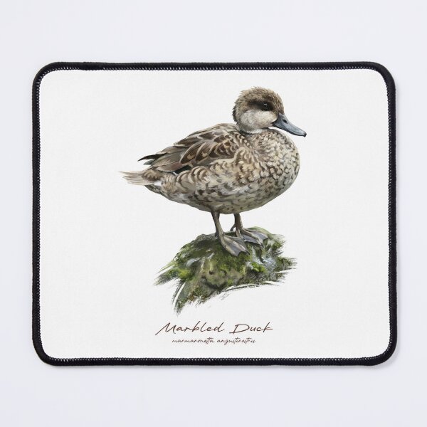 Item preview, Marbled Duck on Mossy Rock Bird Illustration designed and sold by Takeda-art.